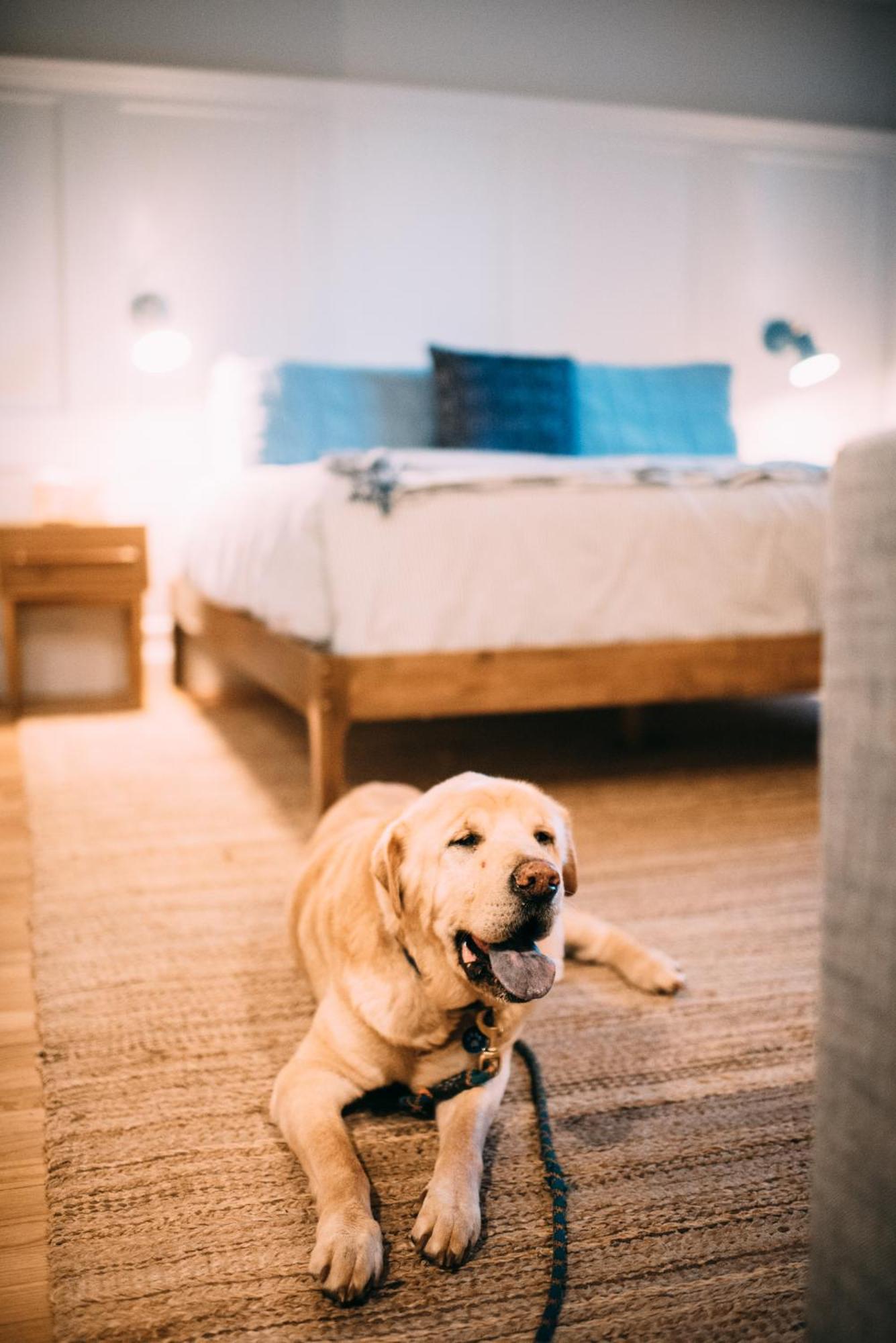 Great Island Inn - A Modern Boutique Hotel New Castle Chambre photo